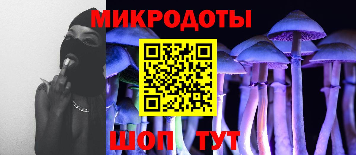 Псилоцибиновые грибы MAGIC MUSHROOMS  Вход с VPN  Ижевск 